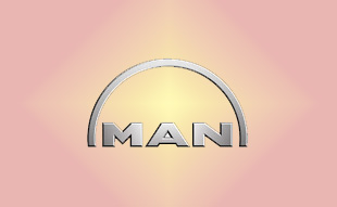 ✓ MAN N2.06600.0002 Запчасти МАН (MAN) 